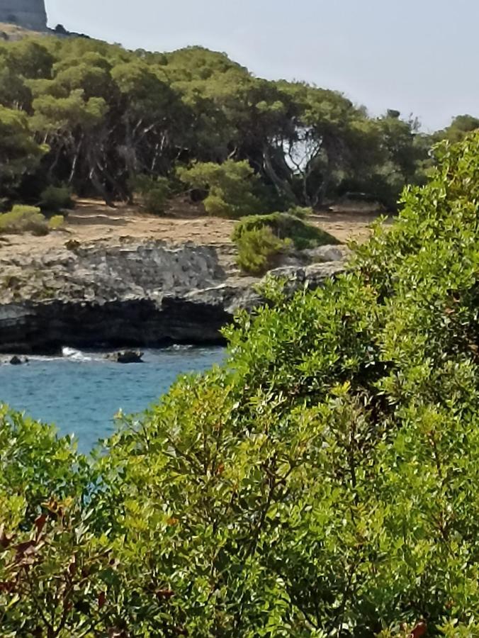 NardòSalento Mare E Arte公寓 外观 照片